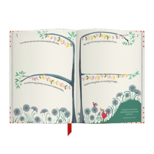 toi & moi, notre histoire